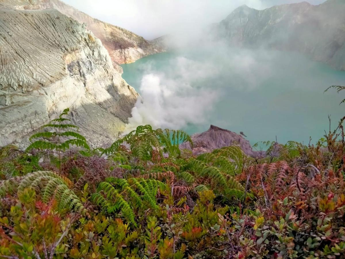 Javalindra Homestay Tour And Travel Banyuwangi  Buitenkant foto
