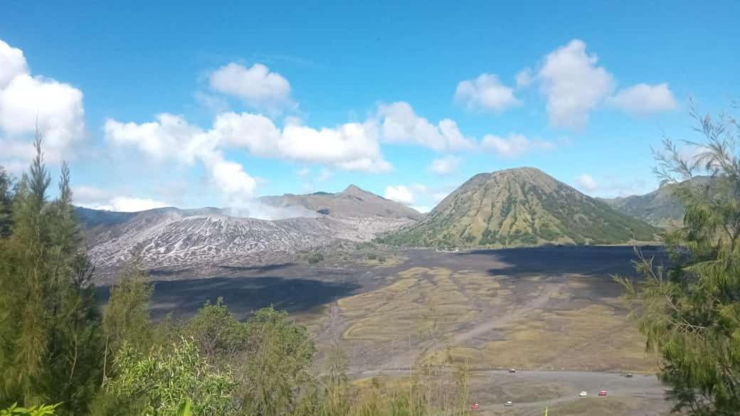 Javalindra Homestay Tour And Travel Banyuwangi  Buitenkant foto